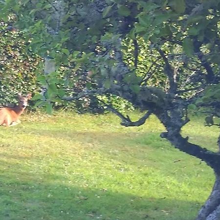 Aquila Retreats Bed and Breakfast Comrie Εξωτερικό φωτογραφία
